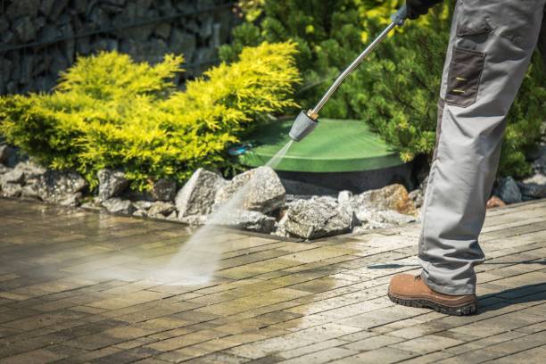 Best Driveway Pressure Washing  in Ridgewood, NJ